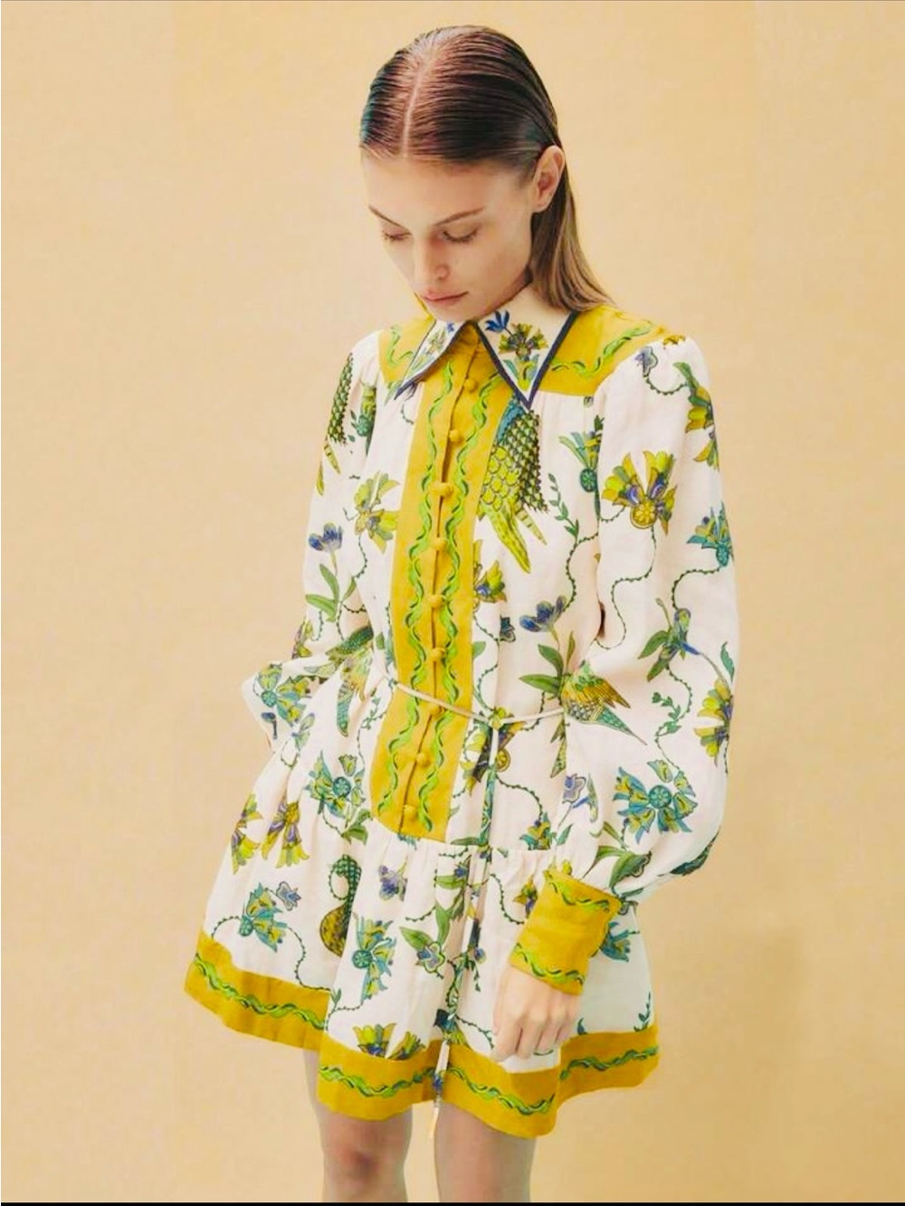 Bohemian Peacock Bird Print, Long Sleeve Mini Dress, Lapel Collar, XL - Picture 2 of 7